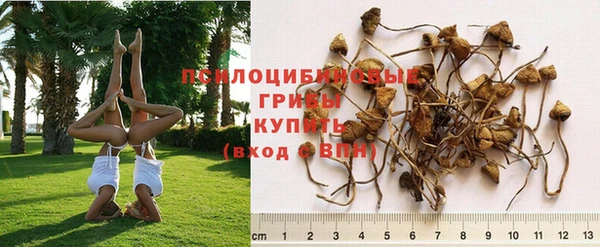 jwh Алзамай