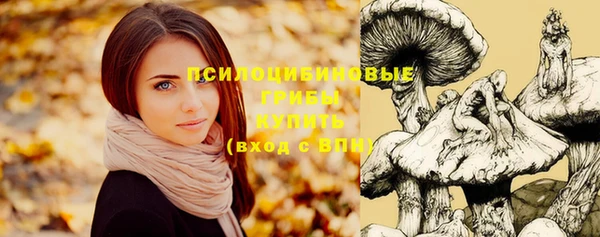 jwh Алзамай